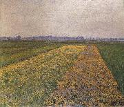 Gustave Caillebotte Yellow field Spain oil painting artist